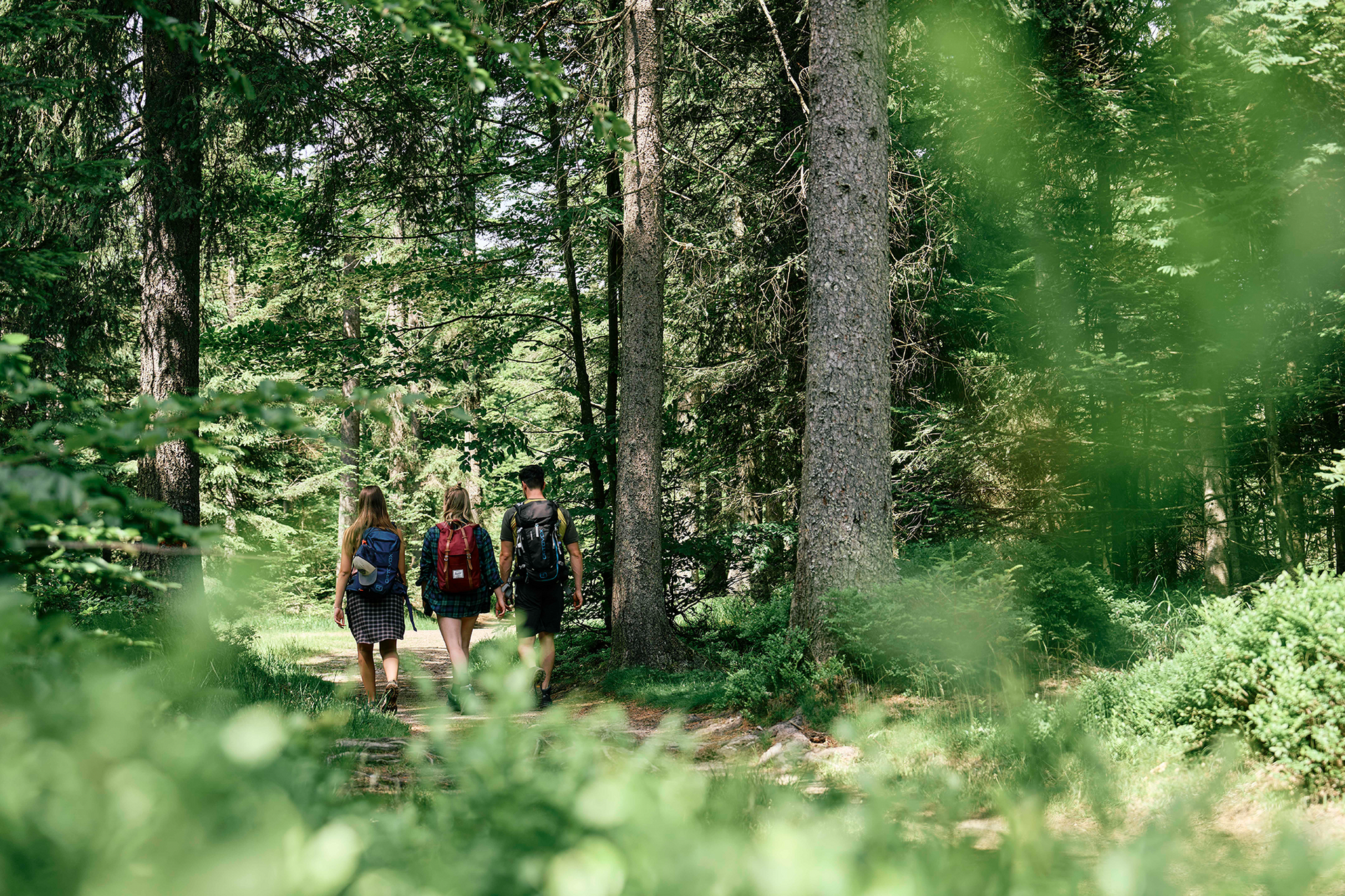 Ausflugstipp Rodltal Drei Wanderer mit Rucksäcken wandern durch einen grünen Waldpfad.