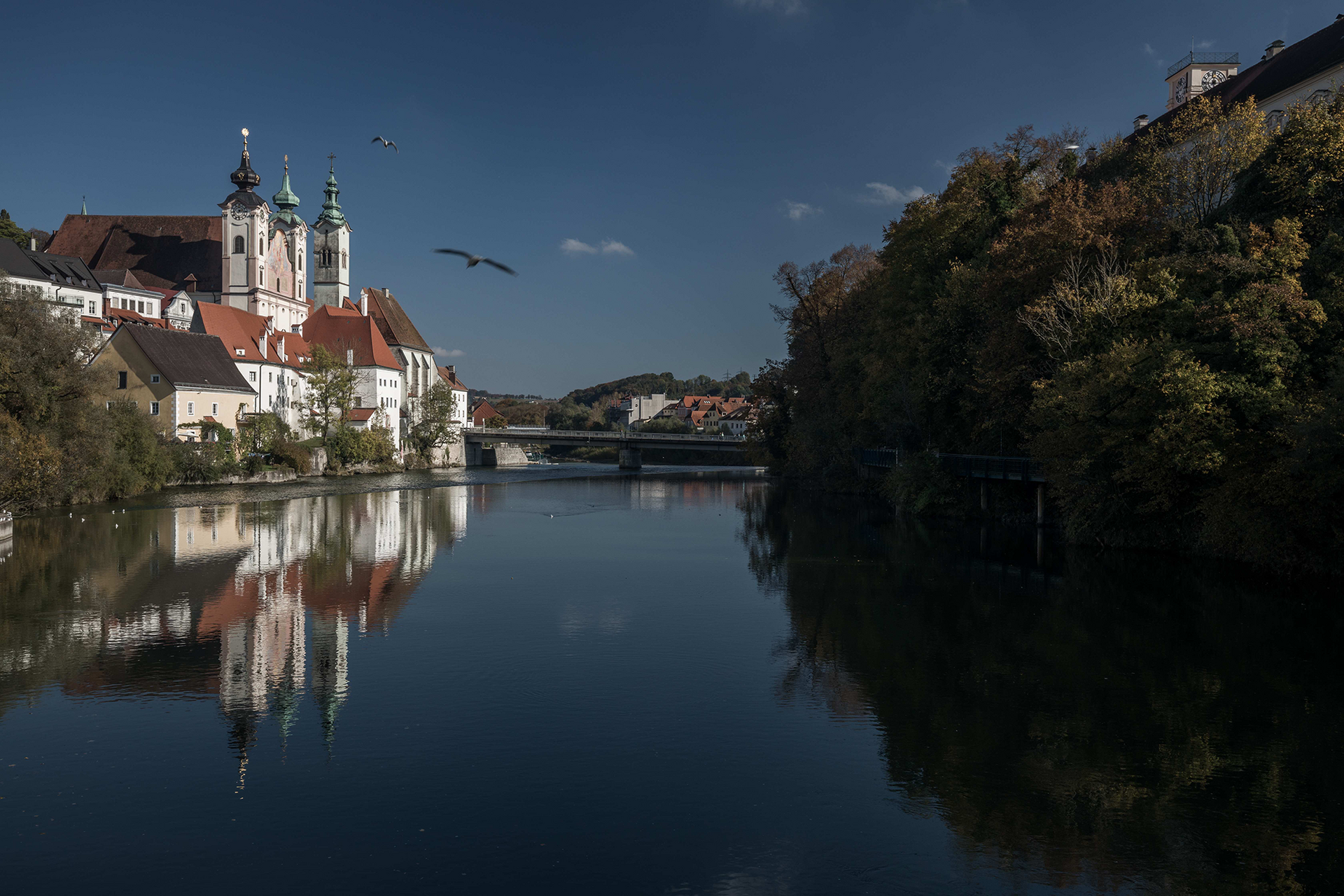 Ausflugstipp Steyr Historische Stadt am Fluss mit großer Kirche, Brücke und Herbstbäumen; ruhiges Spiegelbild der Gebäude im Wasser.