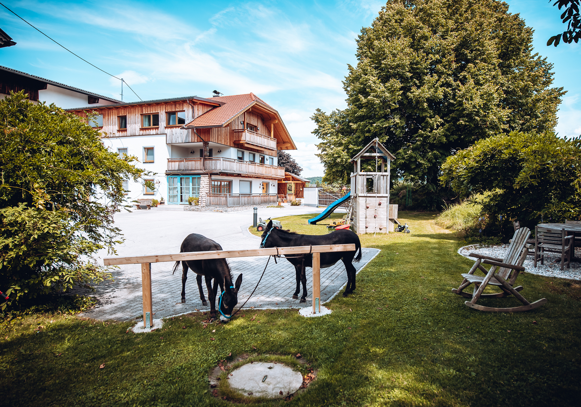 Mehrstöckiges Haus mit Holzfassade und Balkonen; zwei Pferde im Garten.