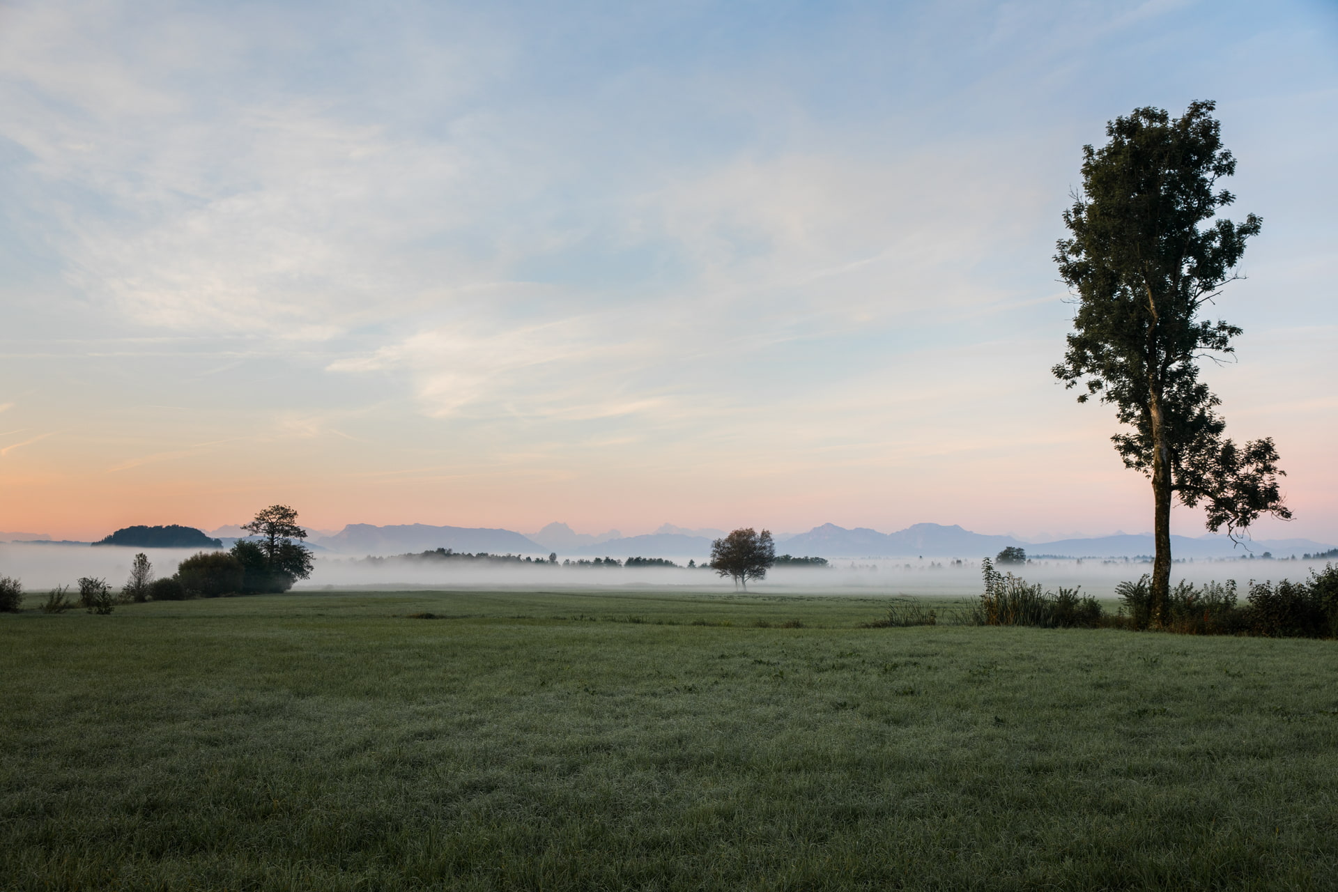 Weites Feld im Morgennebel mit verstreuten Bäumen und ferner Bergkette bei Sonnenaufgang.