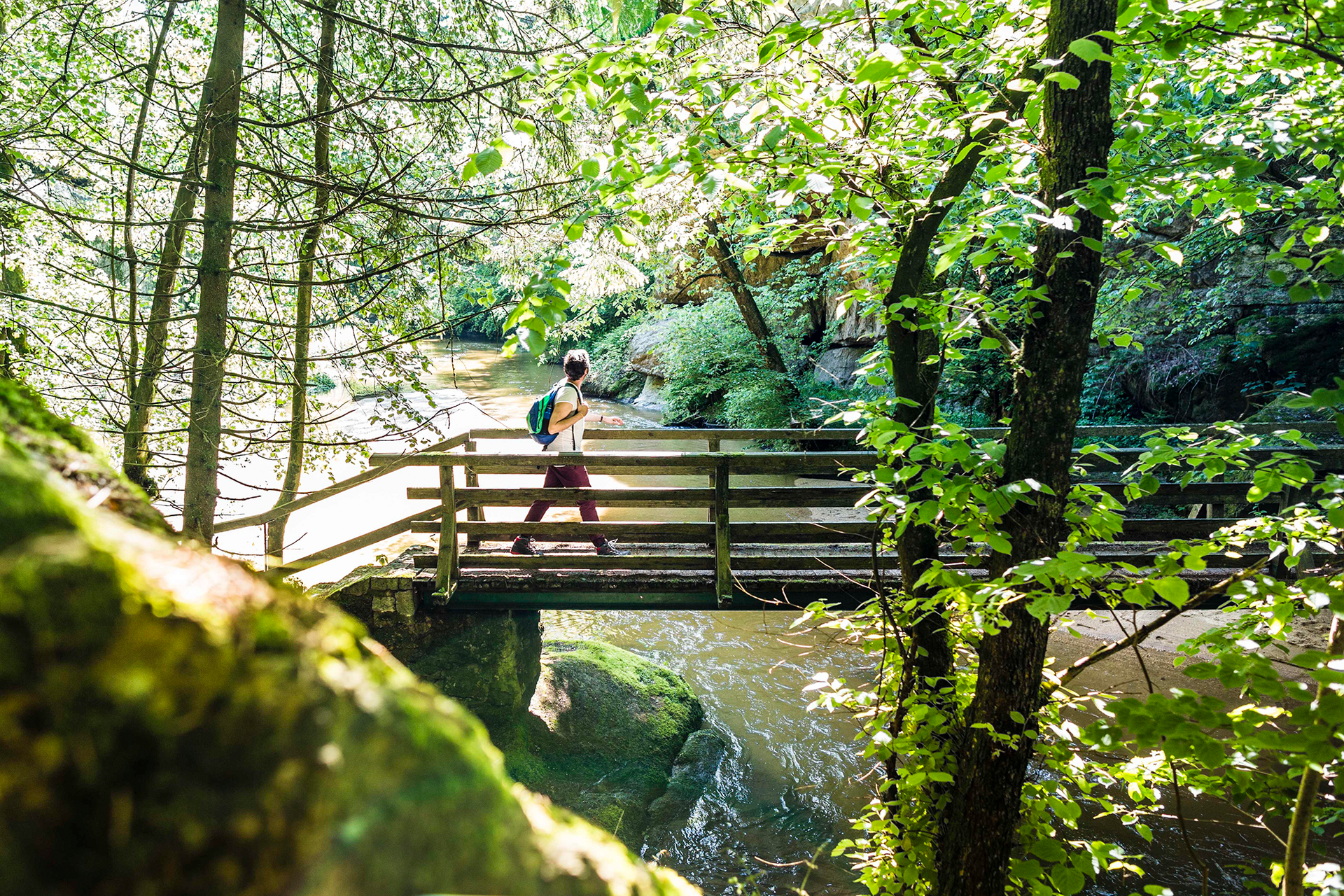 Ausflugstipp Donausteig Person mit Rucksack überquert eine Holzbrücke über einen Fluss im grünen Wald.
