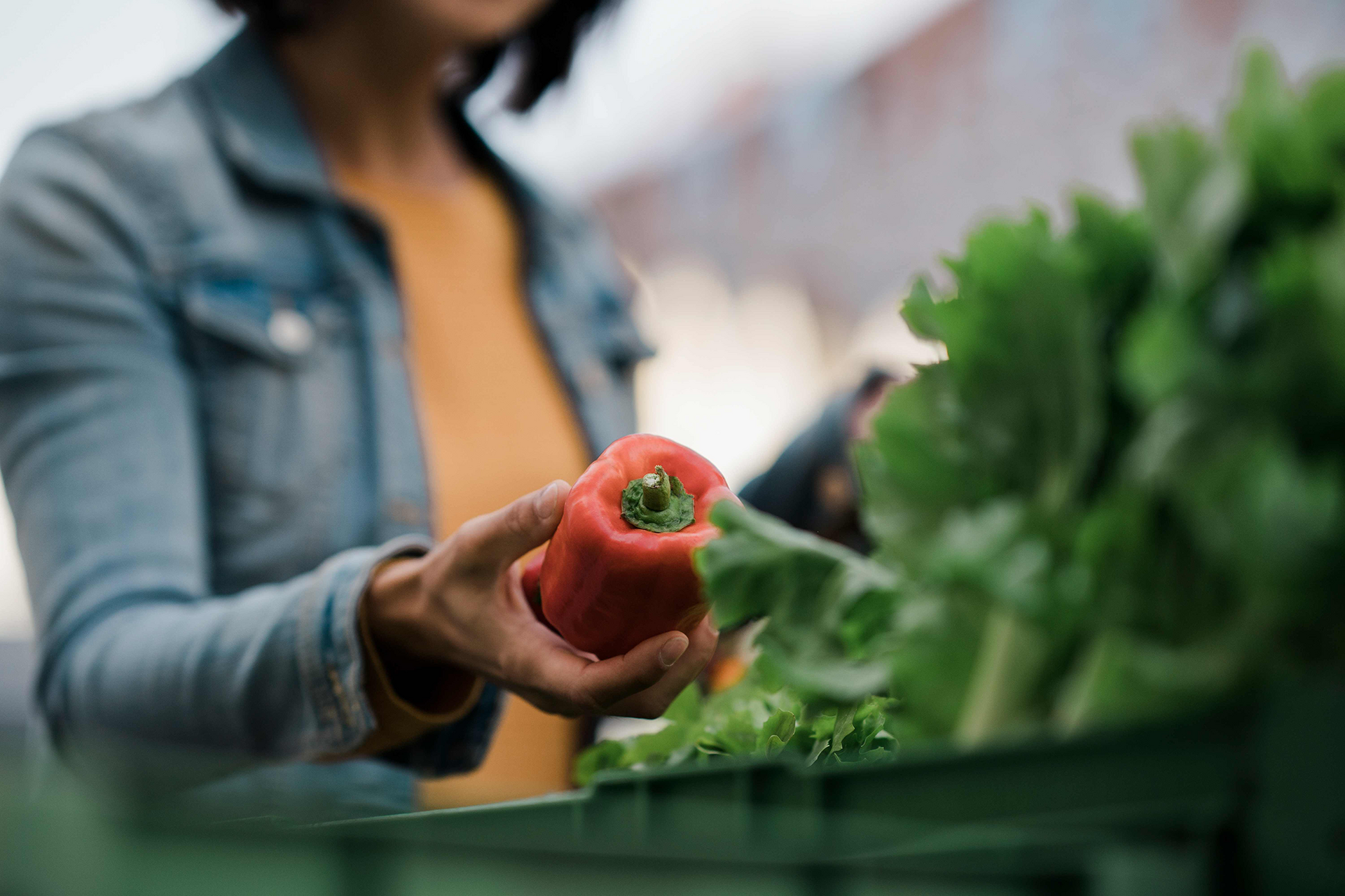 Ausflugstipp Markt Ottensheim Eine Person hält eine rote Paprika vor einer Gemüseauslage, grüne Blätter im Vordergrund.